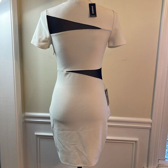 Express BodyCon Dress - Picture 4 of 11
